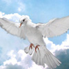 Paz