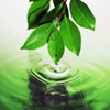 Torá - A Primeira Legislação Ecológica do Mundo